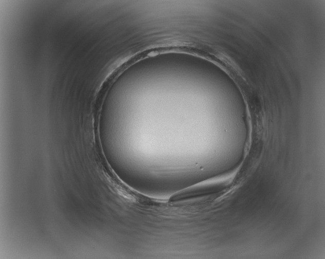 X0000067830781200604201214