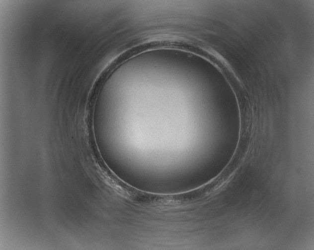 X0000067830783200604201214