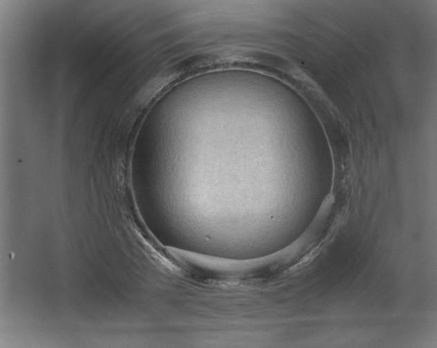 X0000067830785200604201214