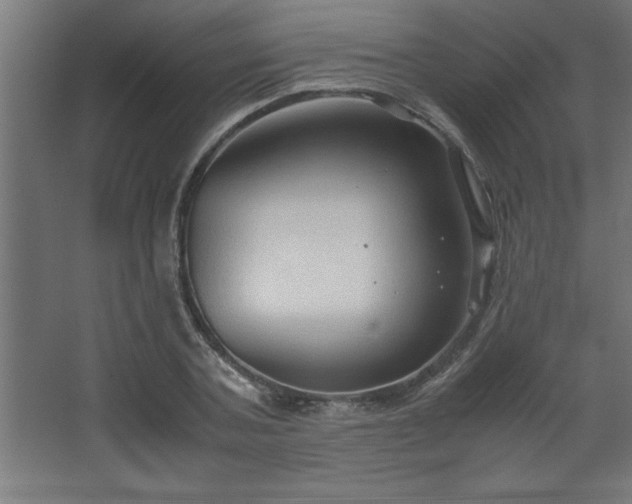 X0000067830787200604201214