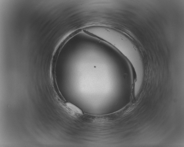 X0000067830788200604201214