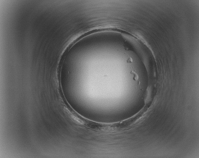 X0000067830789200604201214