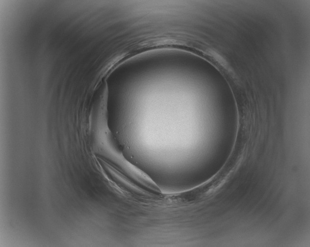 X0000067830793200604201214