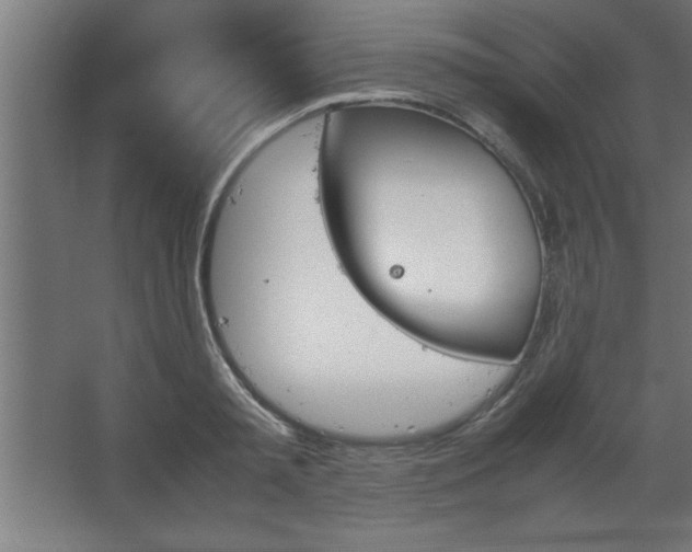 X0000067830797200604201214