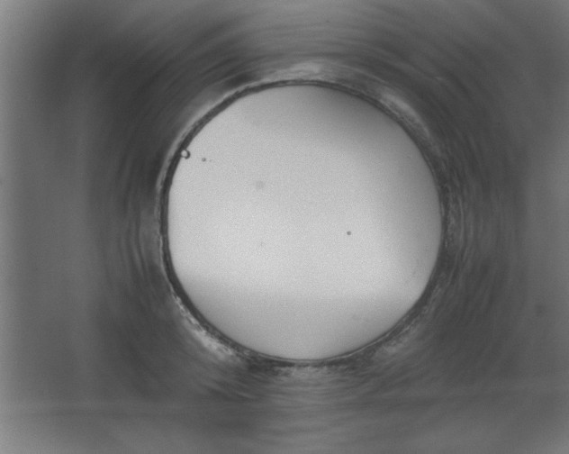 X0000067830800200604201214