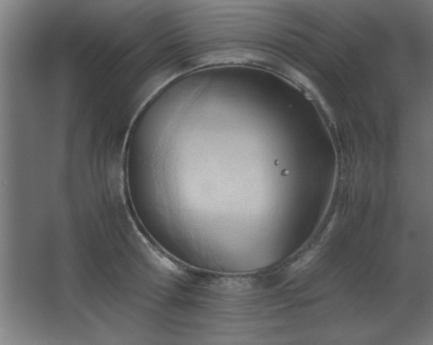 X0000067830802200604201214