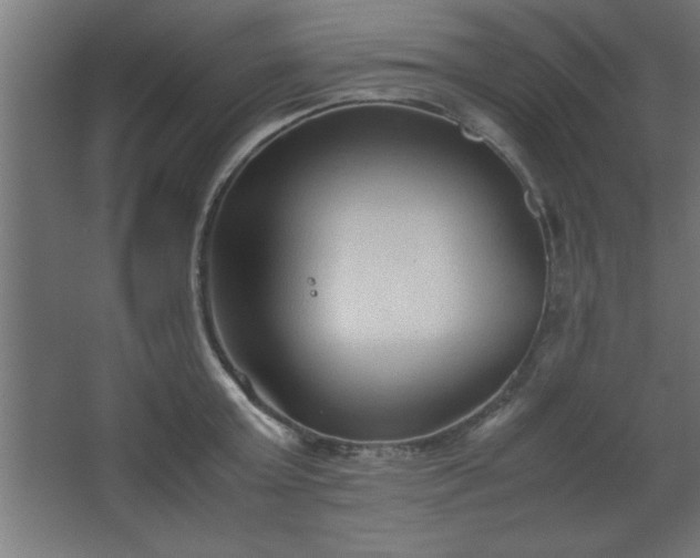 X0000067830803200604201214