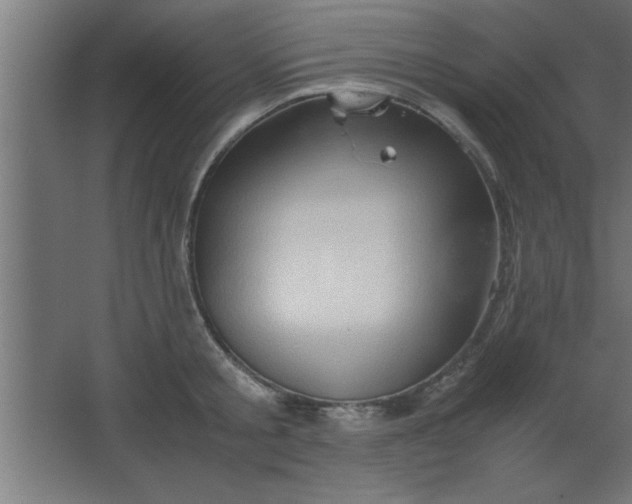 X0000067830805200604201214