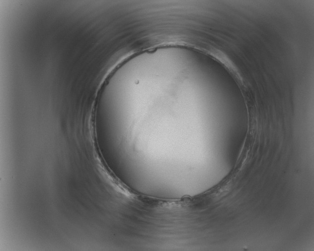 X0000067830806200604201214