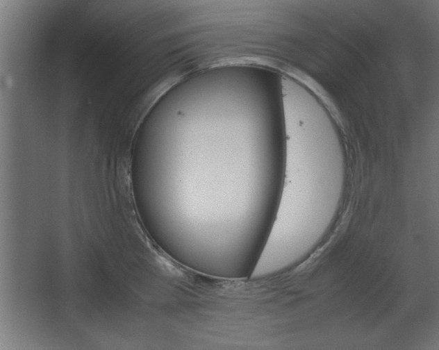 X0000067830809200604201214