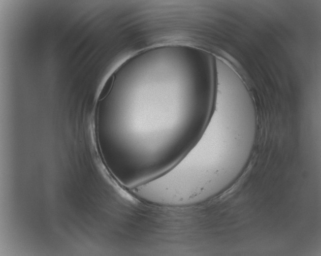 X0000067830812200604201214