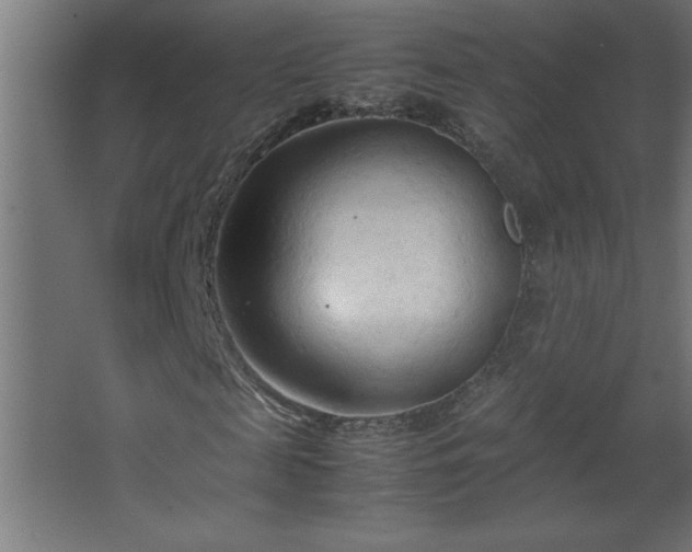 X0000067830817200604201213