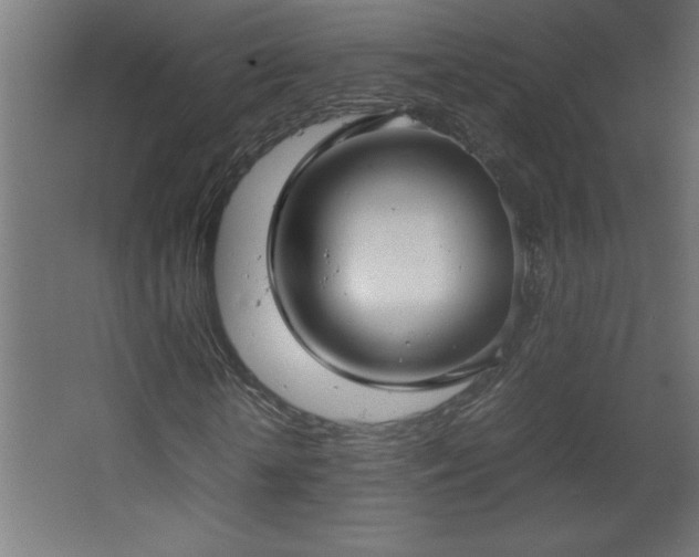 X0000067830818200604201213