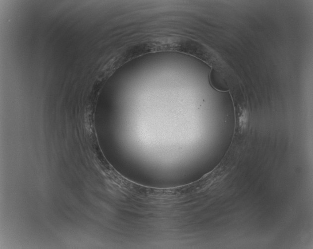 X0000067830819200604201213