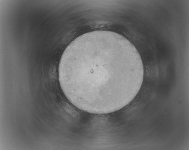 X0000067830820200604201213