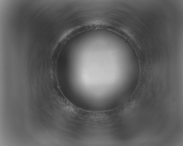 X0000067830823200604201213