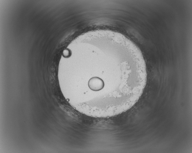 X0000067830824200604201213