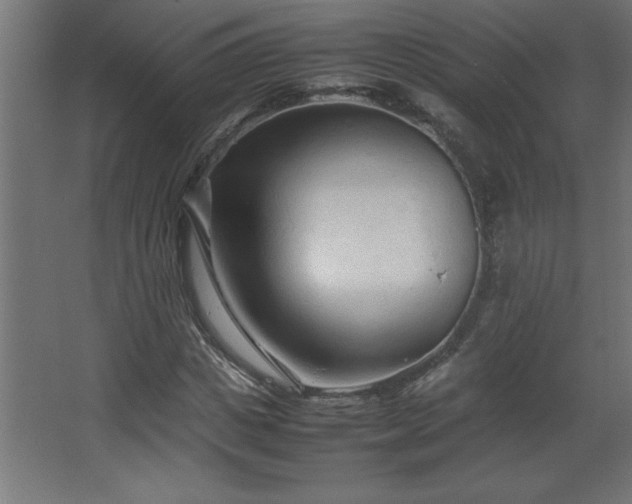 X0000067830825200604201213