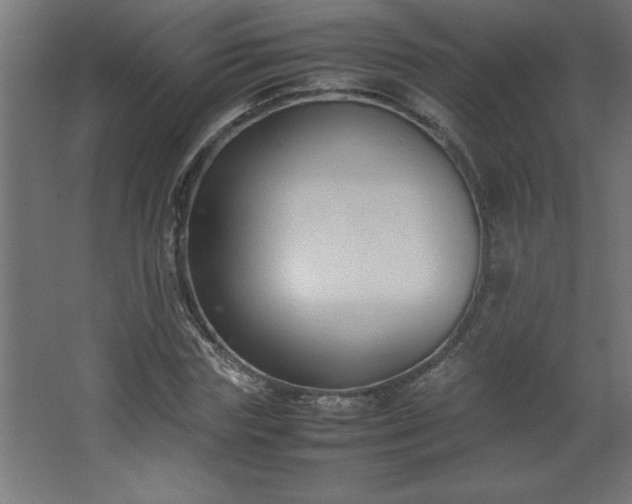 X0000067830827200604201213