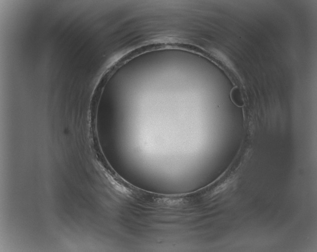 X0000067830831200604201213