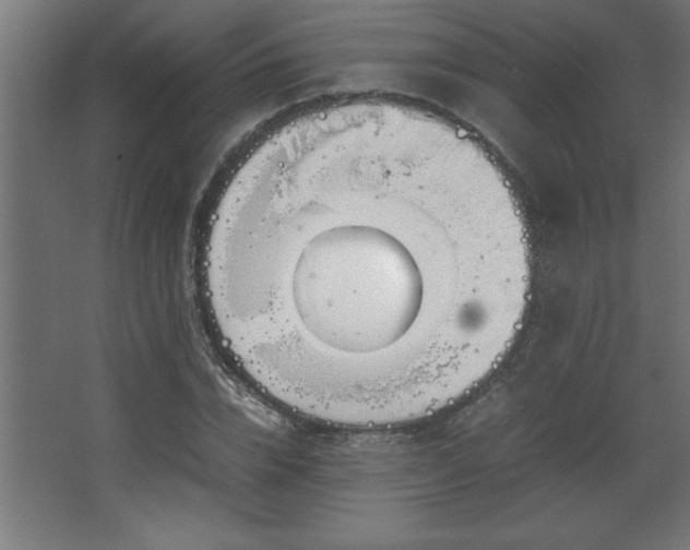 X0000067830832200604201213