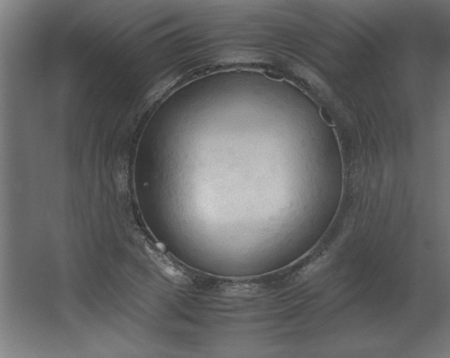 X0000067830833200604201213