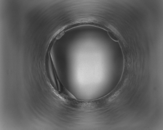 X0000067830834200604201213