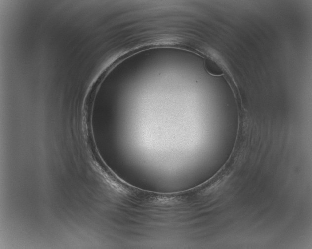 X0000067830835200604201213