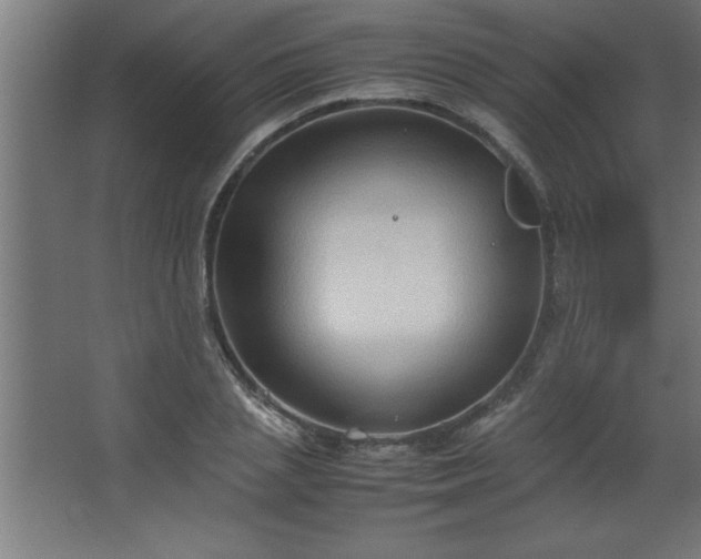 X0000067830837200604201213