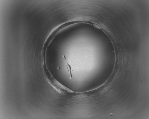 X0000067830838200604201213