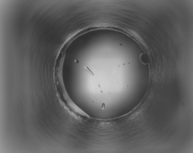 X0000067830839200604201213