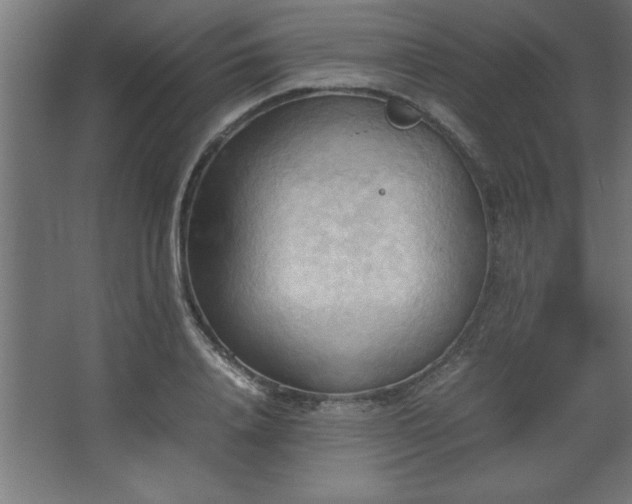 X0000067830840200604201213