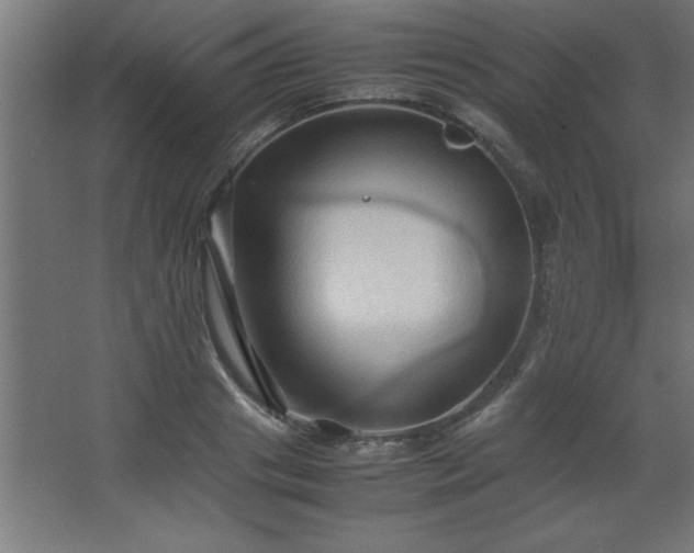 X0000067830841200604201213