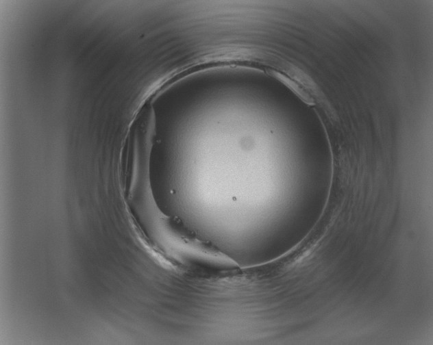 X0000067830842200604201213