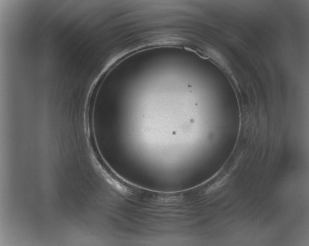 X0000067830843200604201213