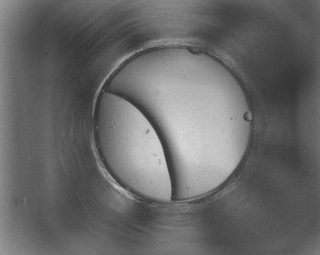 X0000067830844200604201213