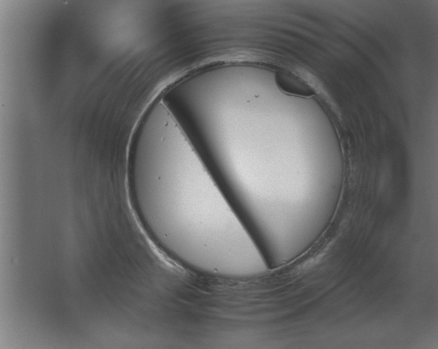 X0000067830845200604201213