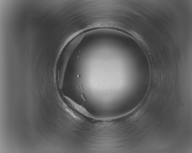 X0000067830846200604201213