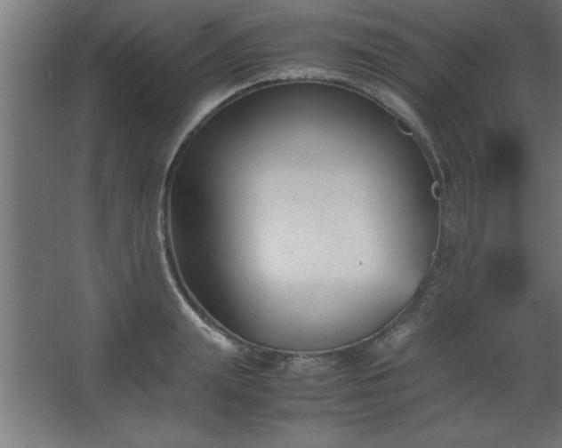 X0000067830847200604201213