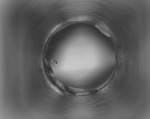 X0000067830850200604201213