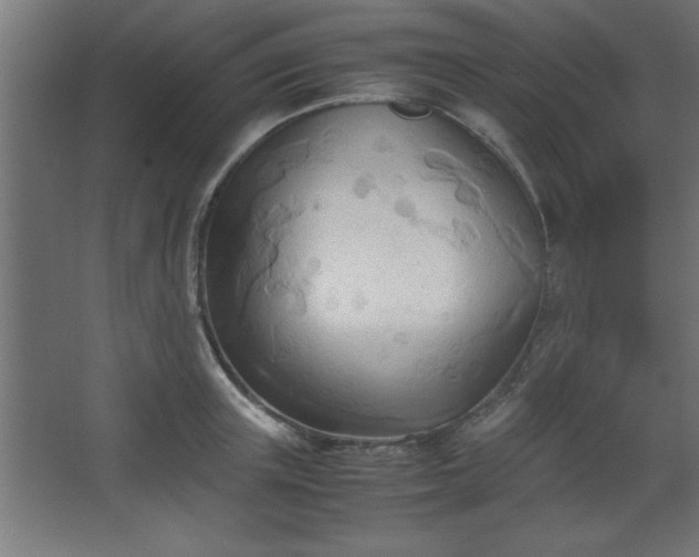 X0000067830851200604201213