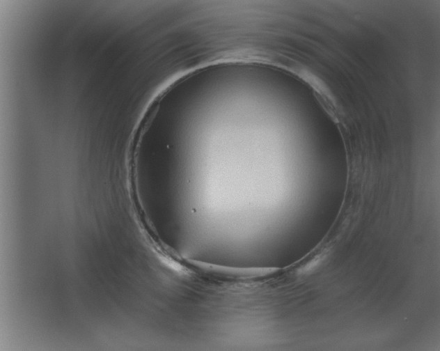 X0000067830854200604201213