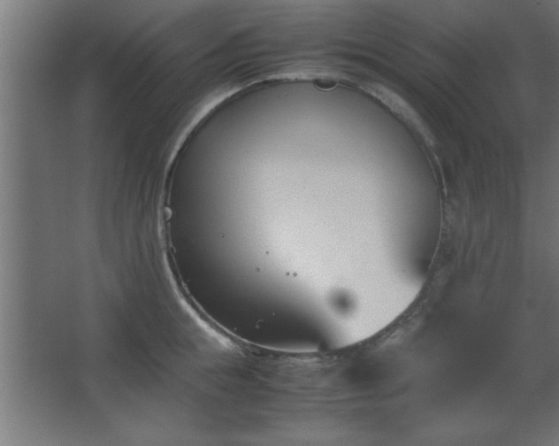 X0000067830855200604201213