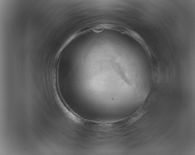 X0000067830859200604201214