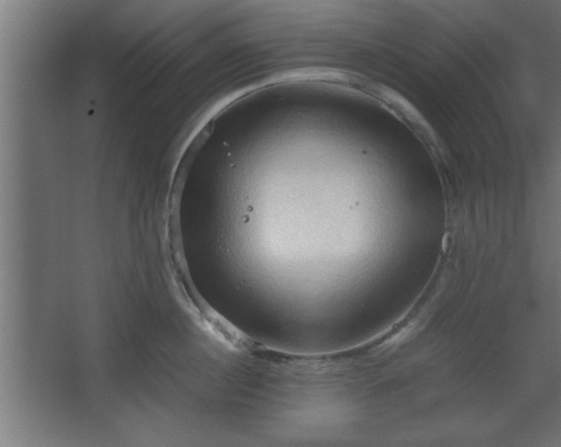 X0000067830860200604201214