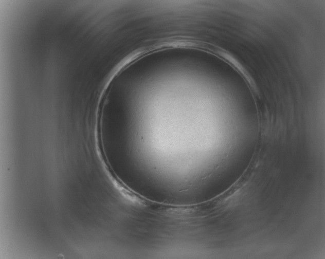 X0000067830861200604201214