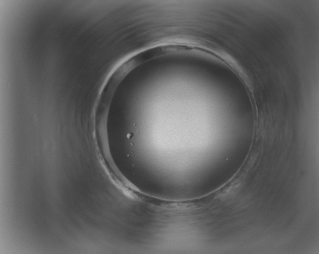 X0000067830862200604201214