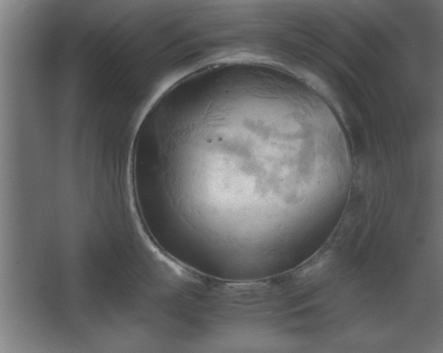 X0000067830863200604201214