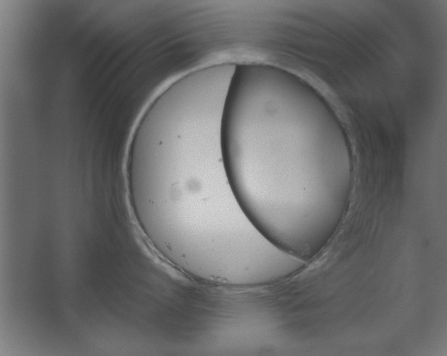 X0000067830864200604201214