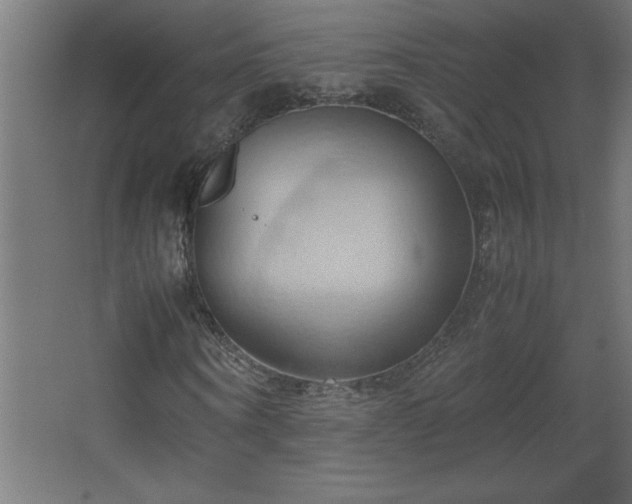 X0000067830866200604201213